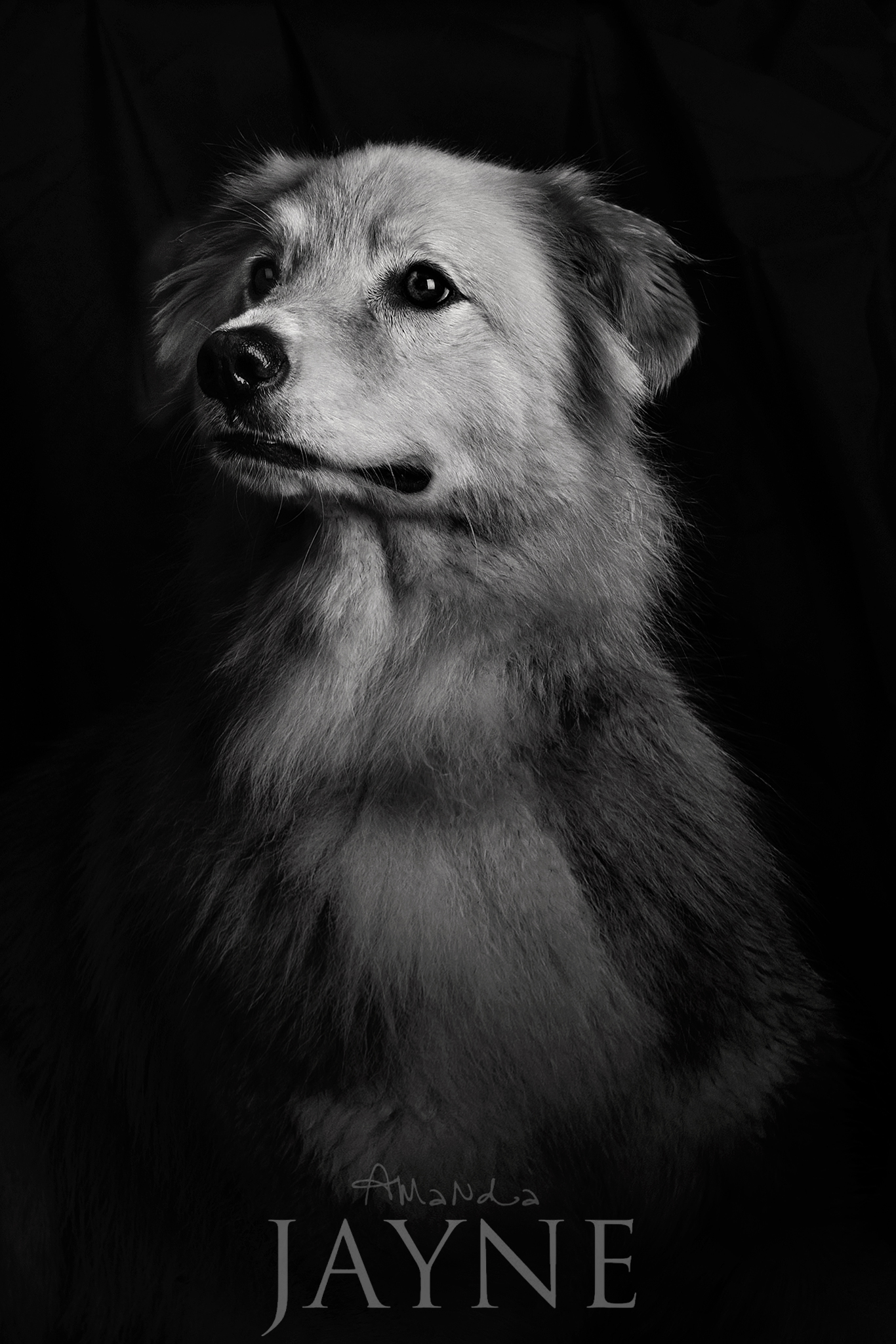 Black-and-white portrait of Leroy