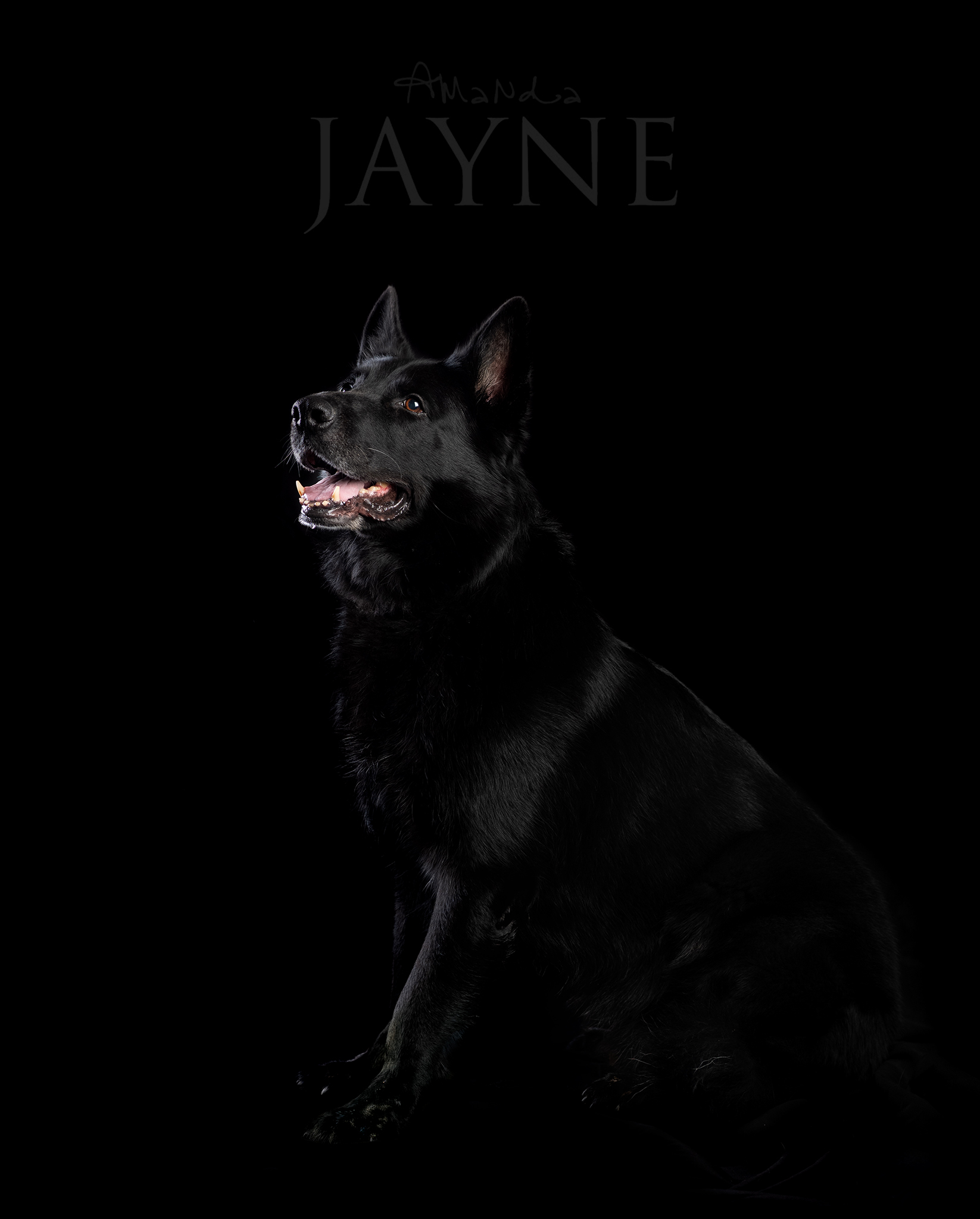 Soptik seated against a black background